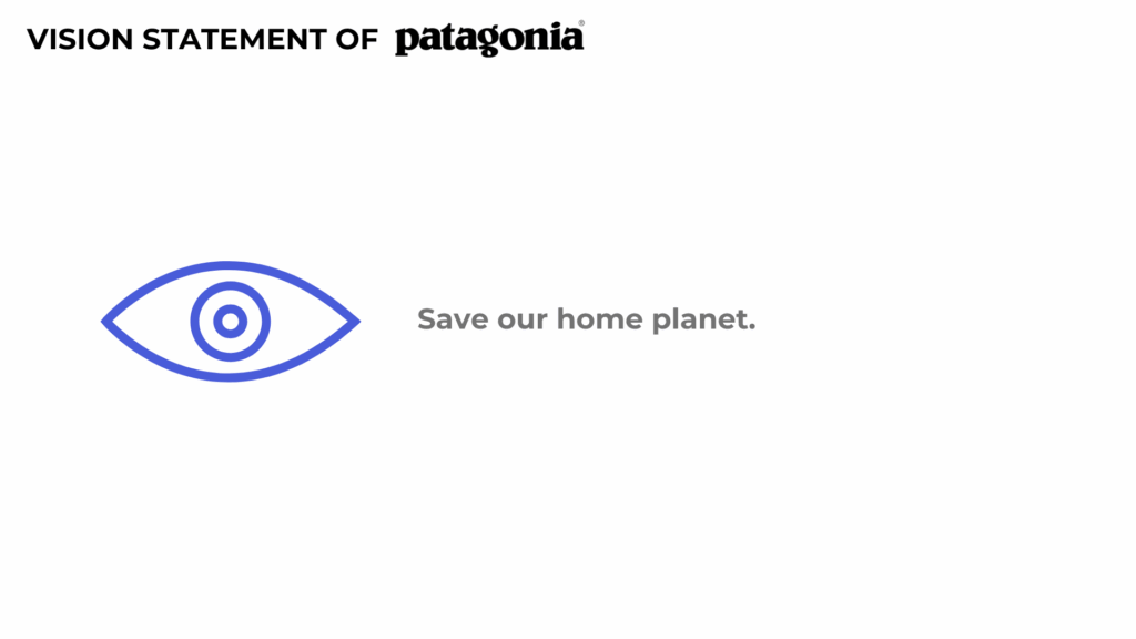 Patagonia Vision Statement