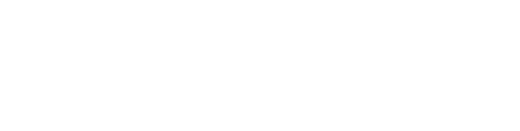 The Business Model Analyst Logo