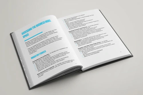 Business Model Assessment