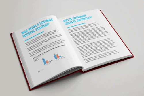 Customer Success Strategies Content