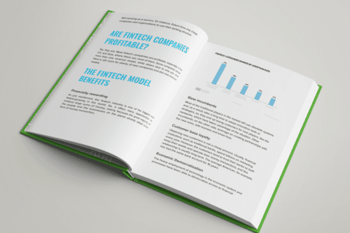 Fintech Business Models