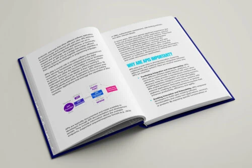 API Business Models Content