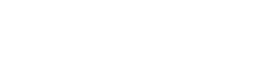 The Business Model Analyst Logo