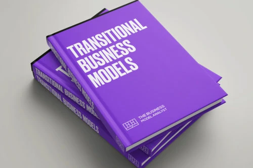 Transitional Business Models